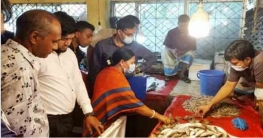 বান্দরবানে জেলিযুক্ত চিংড়ি মাছ বিক্রি,২০ হাজার টাকা জরিমানা