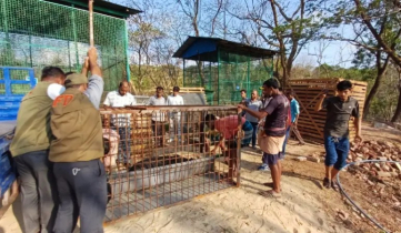 বান্দরবানে আদালতের নির্দেশে বন্ধ ‘মিনি চিড়িয়াখানা’